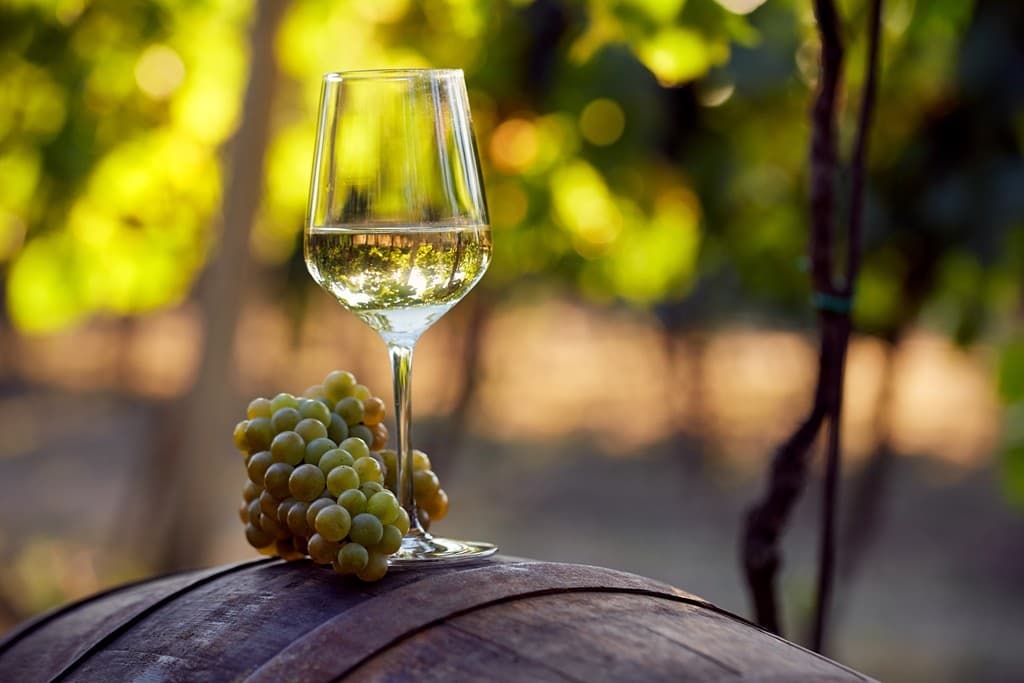 Colaboradores de Vendima: Fuerza para el vino del Salnés