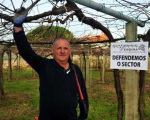 Asociación de Viticultores Libres de O Salnés