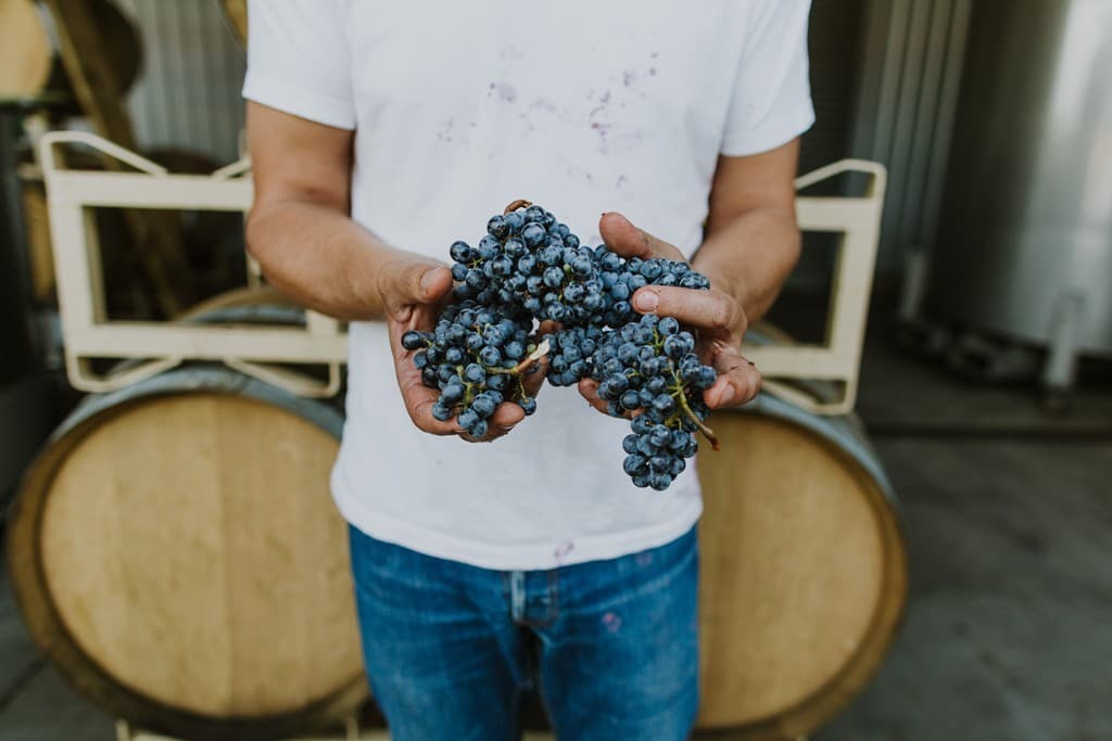 Apoyo integral al pequeño viticultor del Salnés desde 2010