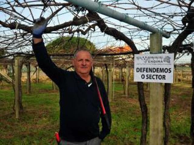 La asociación de viticultores libres "Vendima" busca socios para lograr fórmulas de ahorro en su actividad